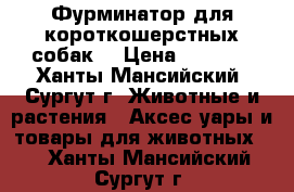 Фурминатор для короткошерстных собак  › Цена ­ 1 500 - Ханты-Мансийский, Сургут г. Животные и растения » Аксесcуары и товары для животных   . Ханты-Мансийский,Сургут г.